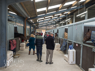 FB161021-106 - Fergal O'Brien Stable Visit